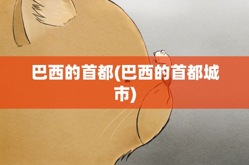 巴西的首都(巴西的首都城市)