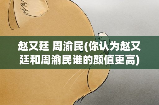 赵又廷 周渝民(你认为赵又廷和周渝民谁的颜值更高)