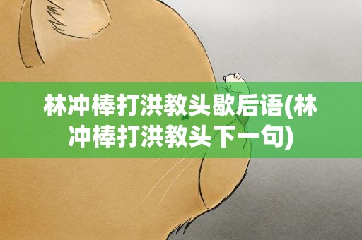 林冲棒打洪教头歇后语(林冲棒打洪教头下一句)