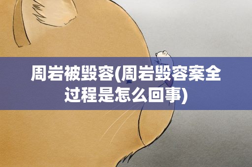 周岩被毁容(周岩毁容案全过程是怎么回事)