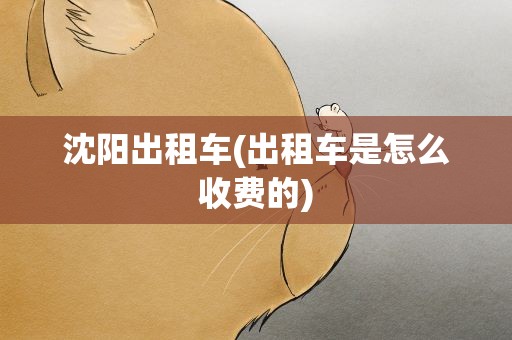 沈阳出租车(出租车是怎么收费的)