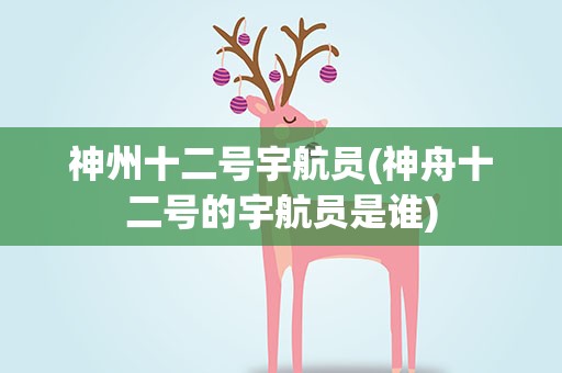神州十二号宇航员(神舟十二号的宇航员是谁)