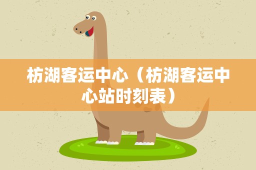枋湖客运中心（枋湖客运中心站时刻表）