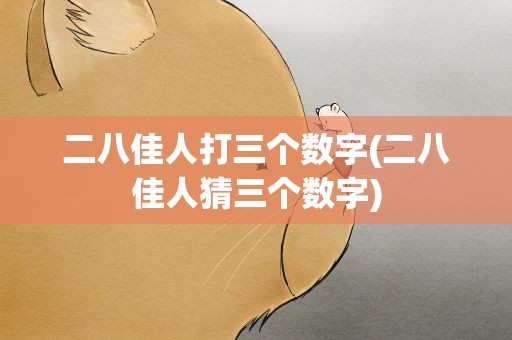 二八佳人打三个数字(二八佳人猜三个数字)