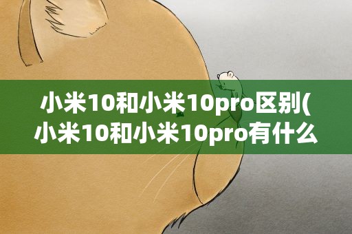 小米10和小米10pro区别(小米10和小米10pro有什么区别)