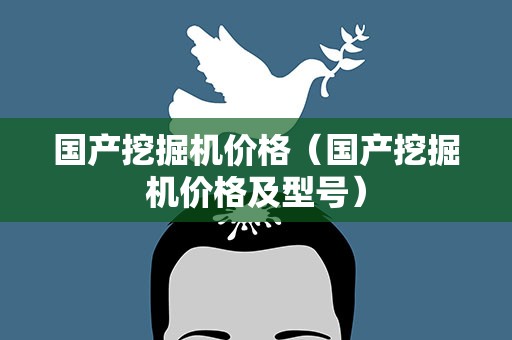 国产挖掘机价格（国产挖掘机价格及型号）
