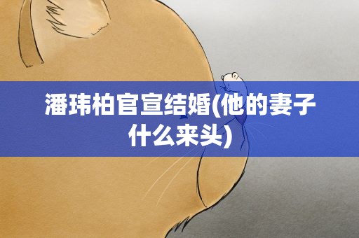 潘玮柏官宣结婚(他的妻子什么来头)