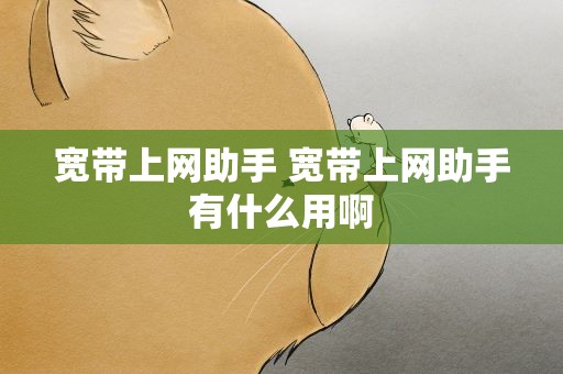宽带上网助手 宽带上网助手有什么用啊
