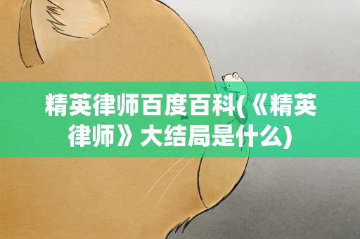 精英律师百度百科(《精英律师》大结局是什么)