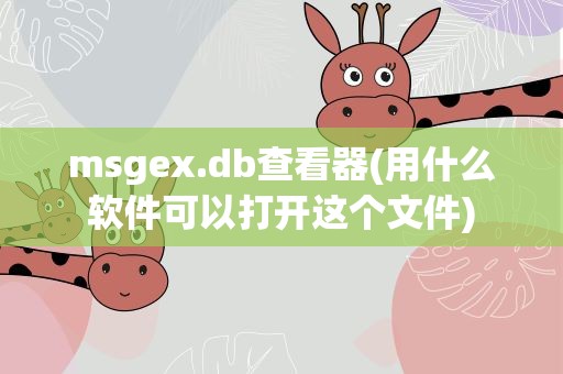 msgex.db查看器(用什么软件可以打开这个文件)