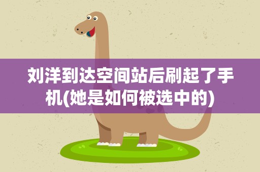 刘洋到达空间站后刷起了手机(她是如何被选中的)