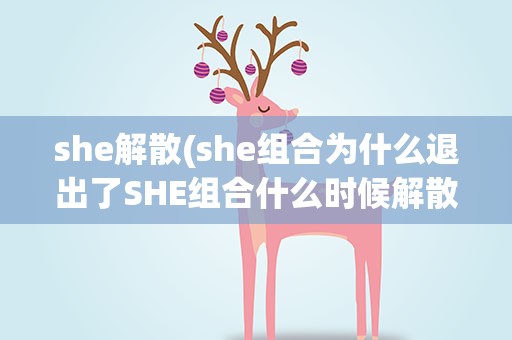 she解散(she组合为什么退出了SHE组合什么时候解散的)