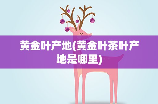 黄金叶产地(黄金叶茶叶产地是哪里)