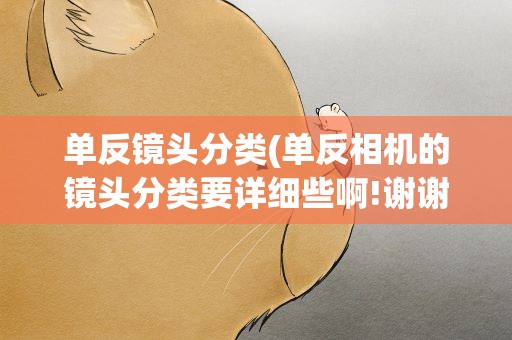 单反镜头分类(单反相机的镜头分类要详细些啊!谢谢!!)