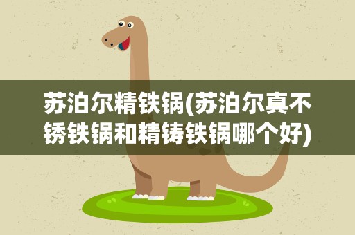 苏泊尔精铁锅(苏泊尔真不锈铁锅和精铸铁锅哪个好)