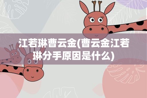 江若琳曹云金(曹云金江若琳分手原因是什么)