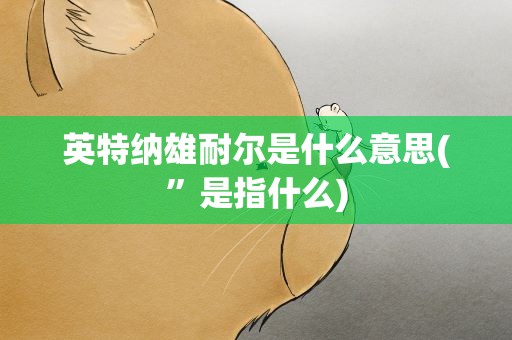 英特纳雄耐尔是什么意思(”是指什么)