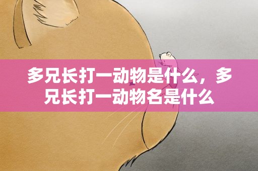 多兄长打一动物是什么，多兄长打一动物名是什么