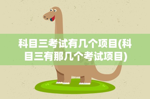 科目三考试有几个项目(科目三有那几个考试项目)