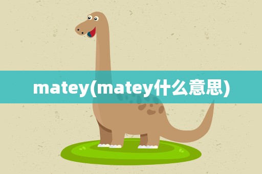 matey(matey什么意思)