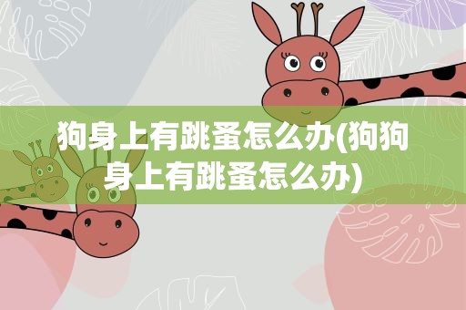 狗身上有跳蚤怎么办(狗狗身上有跳蚤怎么办)