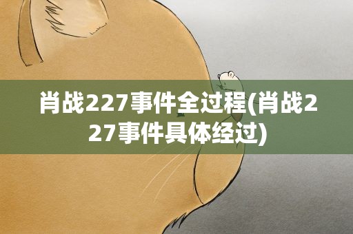 肖战227事件全过程(肖战227事件具体经过)