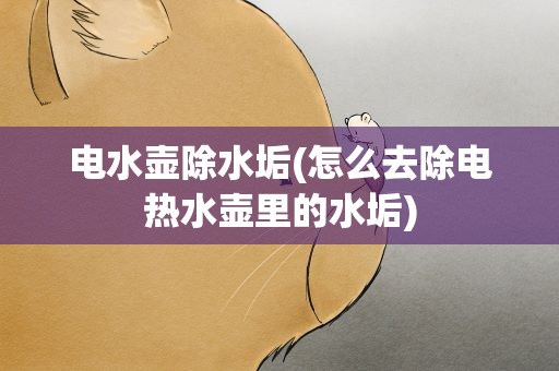 电水壶除水垢(怎么去除电热水壶里的水垢)