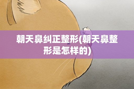朝天鼻纠正整形(朝天鼻整形是怎样的)