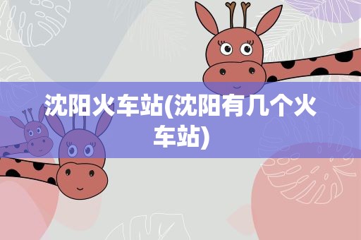 沈阳火车站(沈阳有几个火车站)