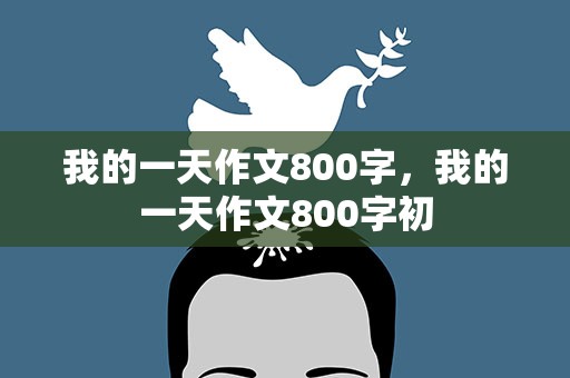 我的一天作文800字，我的一天作文800字初