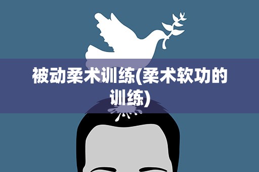 被动柔术训练(柔术软功的训练)