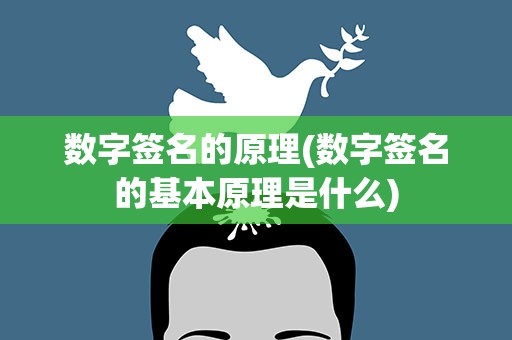 数字签名的原理(数字签名的基本原理是什么)