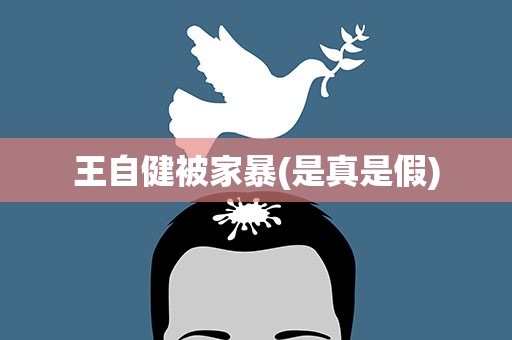 王自健被家暴(是真是假)