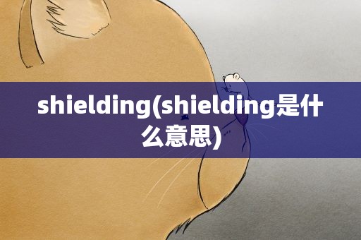 shielding(shielding是什么意思)