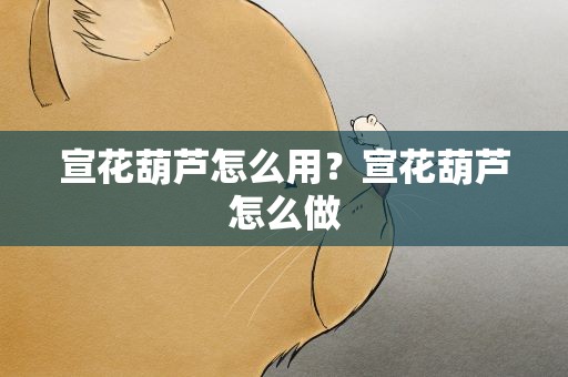 宣花葫芦怎么用？宣花葫芦怎么做