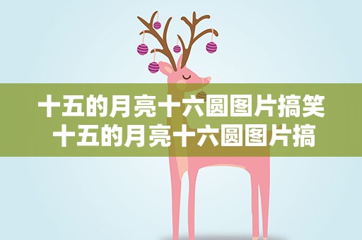 十五的月亮十六圆图片搞笑 十五的月亮十六圆图片搞笑版