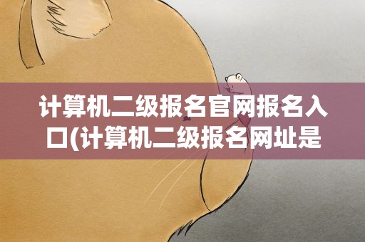 计算机二级报名官网报名入口(计算机二级报名网址是什么)