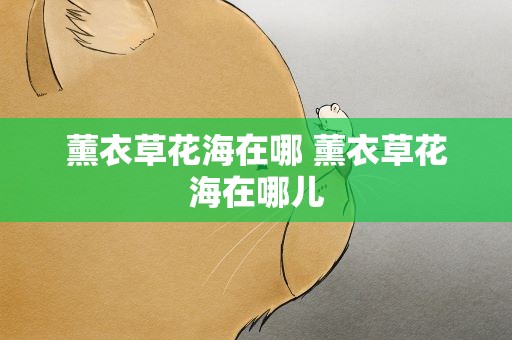 薰衣草花海在哪 薰衣草花海在哪儿