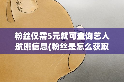 粉丝仅需5元就可查询艺人航班信息(粉丝是怎么获取明星航班信息的)