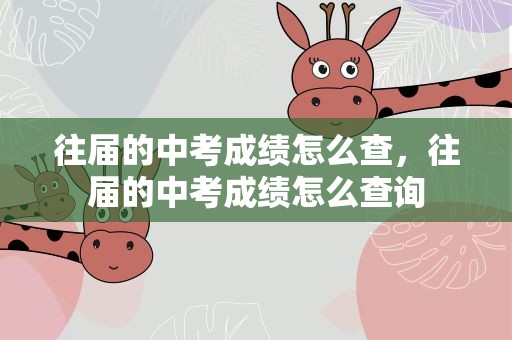 往届的中考成绩怎么查，往届的中考成绩怎么查询