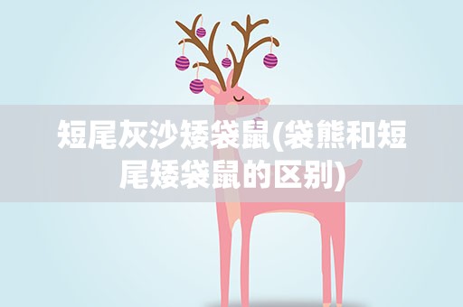 短尾灰沙矮袋鼠(袋熊和短尾矮袋鼠的区别)