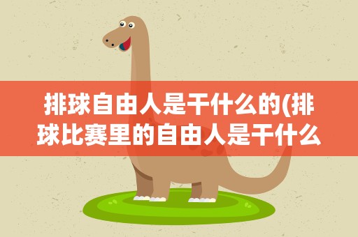 排球自由人是干什么的(排球比赛里的自由人是干什么的)