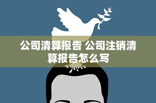 公司清算报告 公司注销清算报告怎么写
