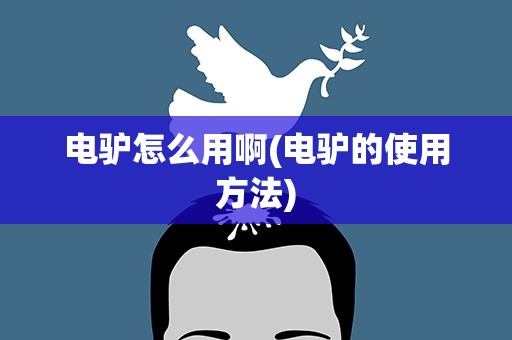 电驴怎么用啊(电驴的使用方法)