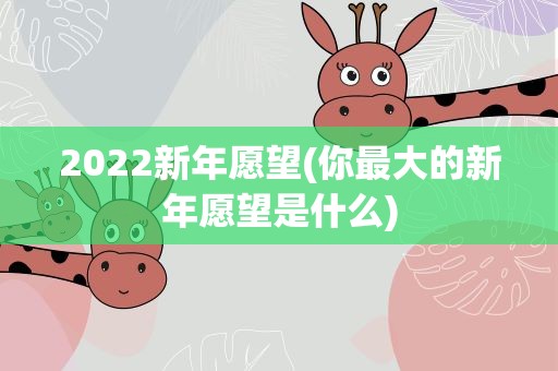2022新年愿望(你最大的新年愿望是什么)