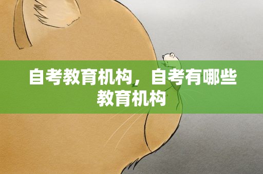 自考教育机构，自考有哪些教育机构