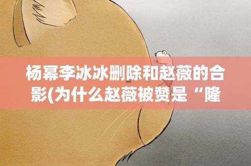 杨幂李冰冰删除和赵薇的合影(为什么赵薇被赞是“隆鼻模板”)