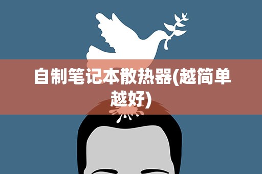 自制笔记本散热器(越简单越好)