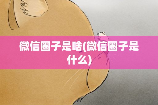 微信圈子是啥(微信圈子是什么)
