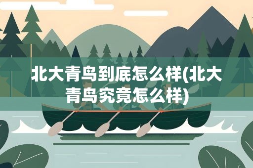 北大青鸟到底怎么样(北大青鸟究竟怎么样)